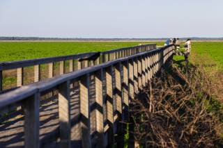 0294 Paynes Prairie I75 S GACTPO 26 Laura Evans